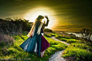 在线网页发短信