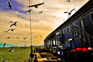 短信验证码轰炸平台免费